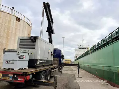Plant movement